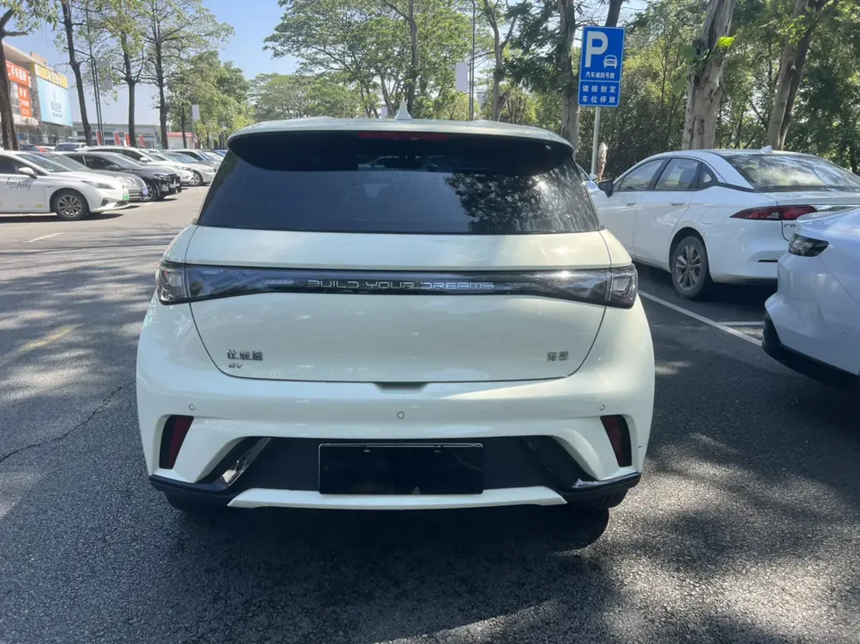 BYD Dolphin Dolphin 2025 420KM Vitality Edition 2025 — миниатюра 5