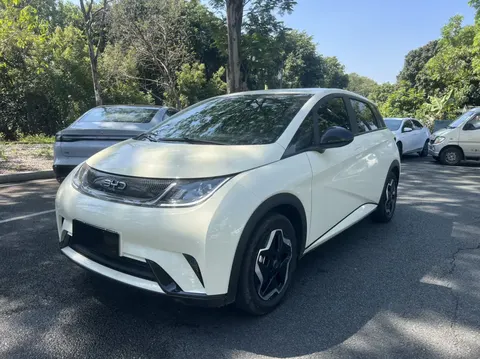 BYD Dolphin 2025 buy in Moscow