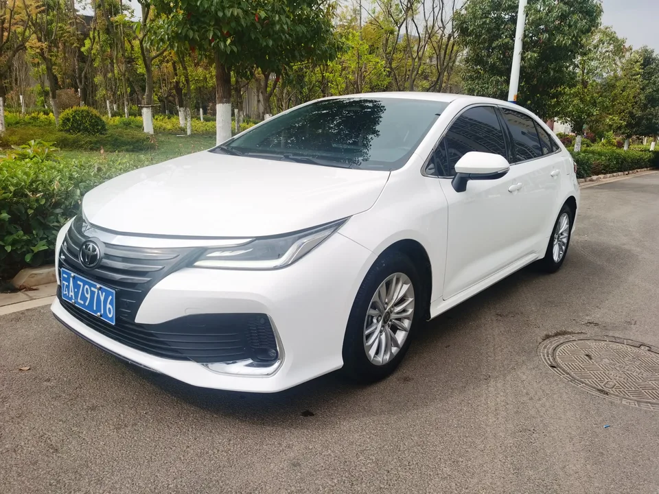 Toyota Asiatic lion 2023