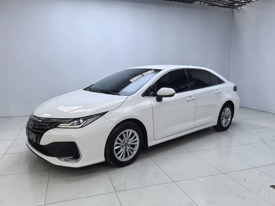 Toyota Asiatic lion 2022