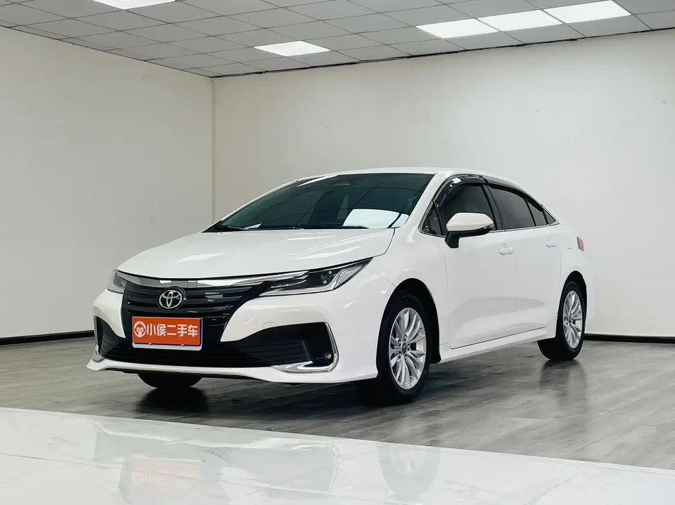 Toyota Asiatic lion 2024
