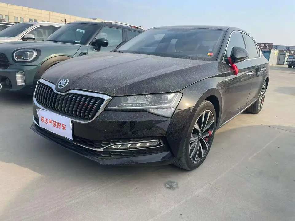 Skoda Speedy 2024