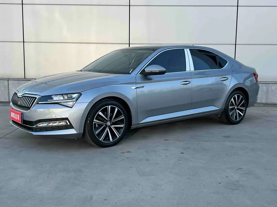 Skoda Speedy 2024