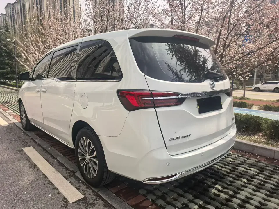 Buick GL8 facelift land business class 2.0T smart model 2023 — миниатюра 4