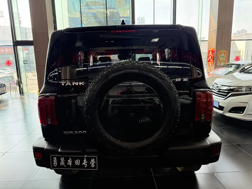 Tank 300 Tank 300 2021 Off-road version 2.0T Conqueror 2022 — thumbnail 5