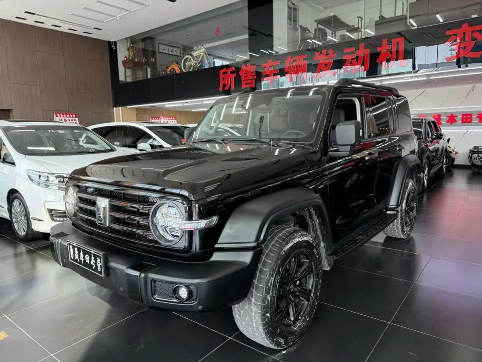 Tank 300 Tank 300 2021 Off-road version 2.0T Conqueror 2022 — photo 1, buy with delivery to Moscow