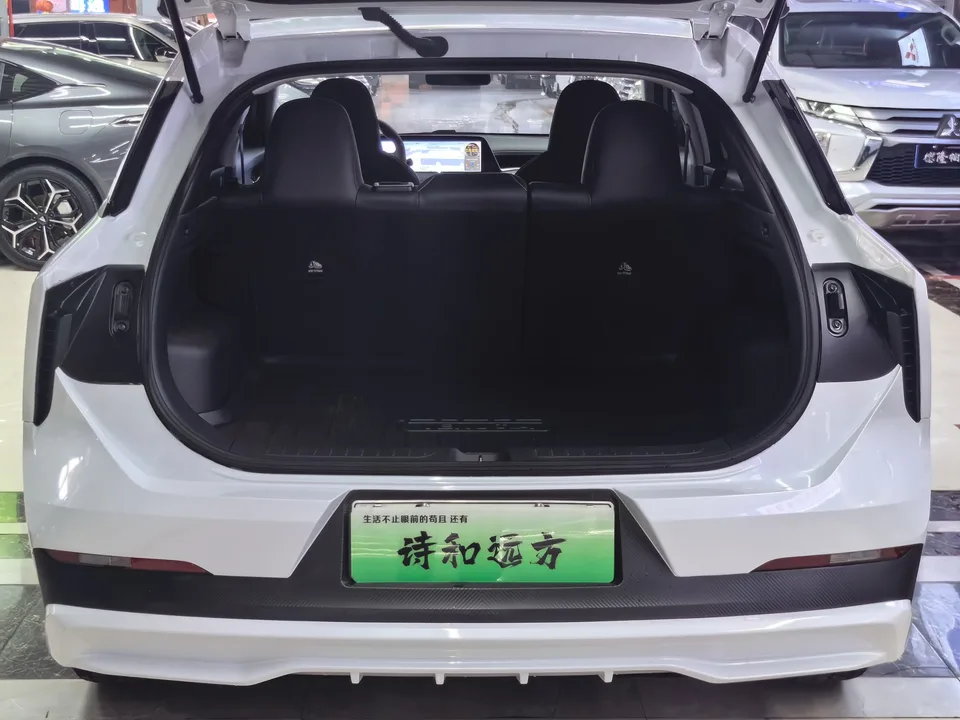 Kai Chen Qichen Big V DD-i 110KM iE version 2024 — миниатюра 5