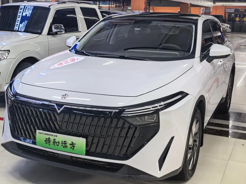 Kai Chen Qichen Big V DD-i 2024