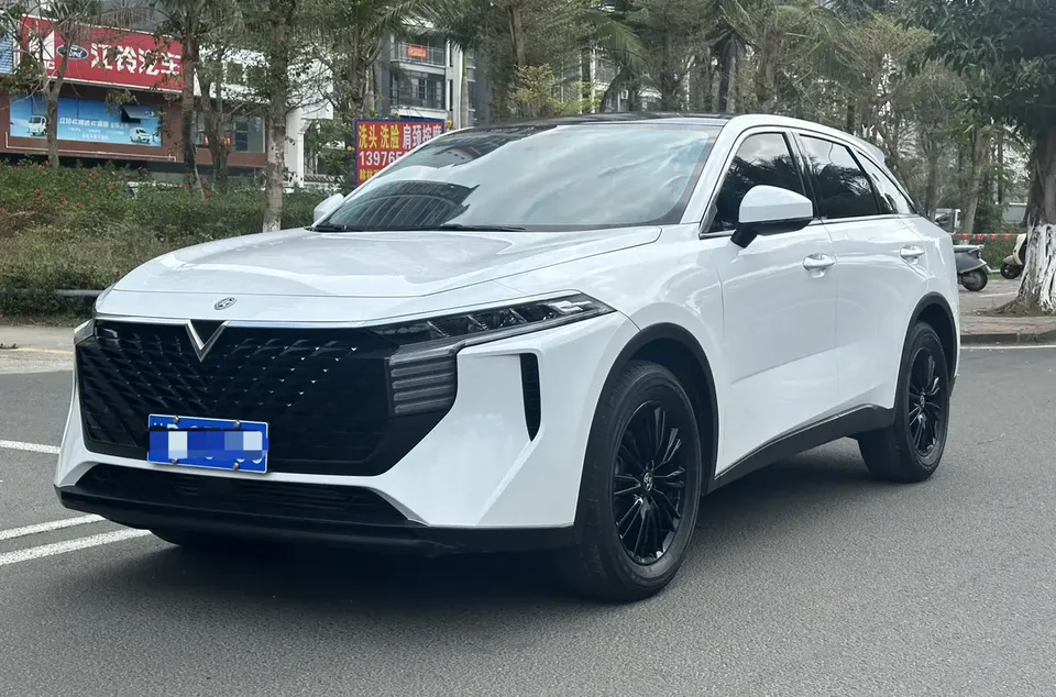 Kai Chen Venucia Big V 2022