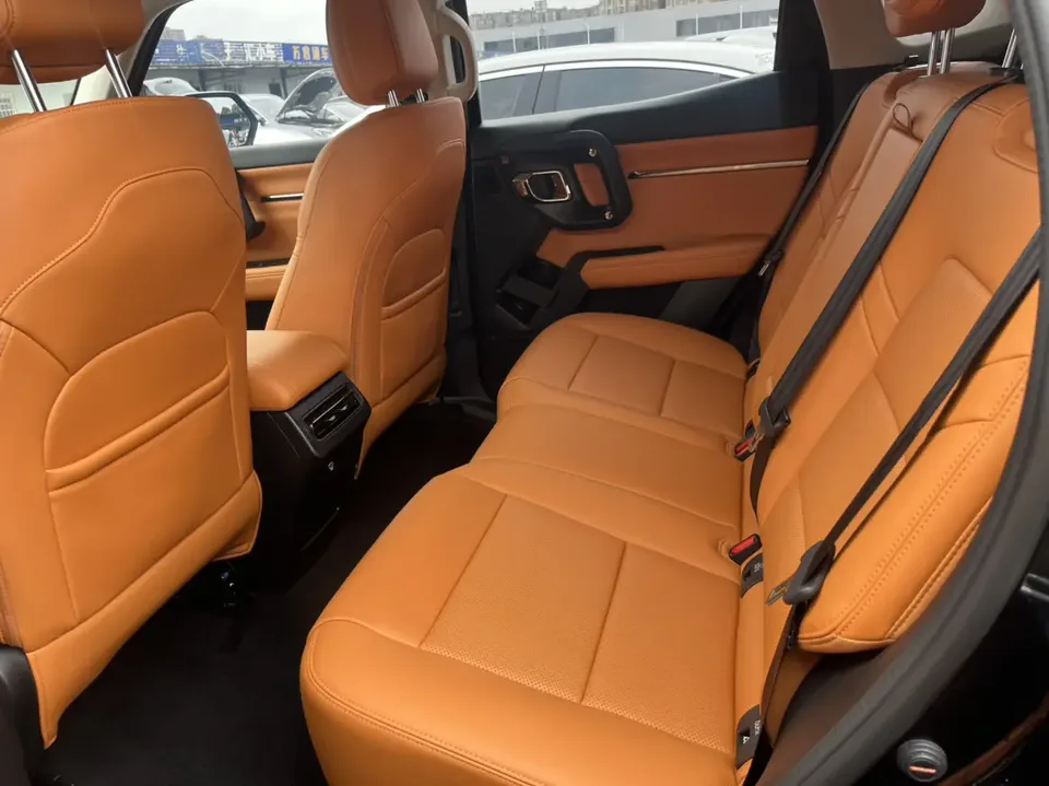 Haval Big Dog PLUS 1.5T 2WD Trendy Wild Edition Plus 2024 — миниатюра 5