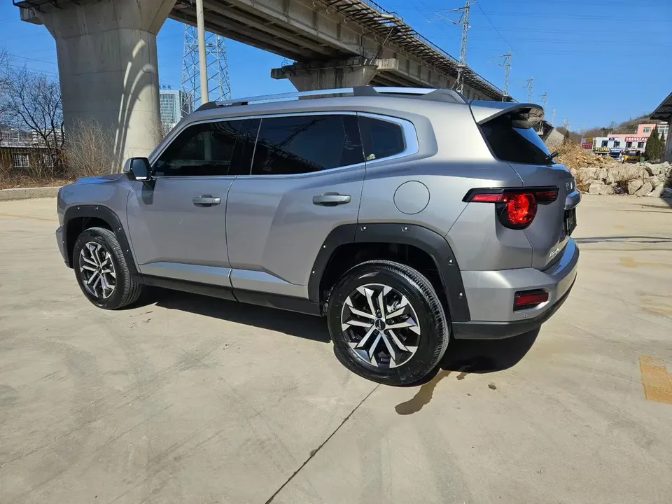 Haval Big Dog PLUS 2.0T Two-wheel drive Chaozhou Edition Plus 2025 — миниатюра 4