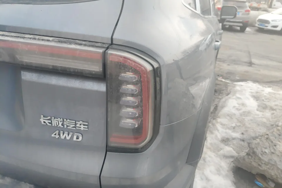 Haval Dargo Haval Big Dog 2024 2.0T four-wheel drive Chinese pastoral dog version 2023 — миниатюра 2