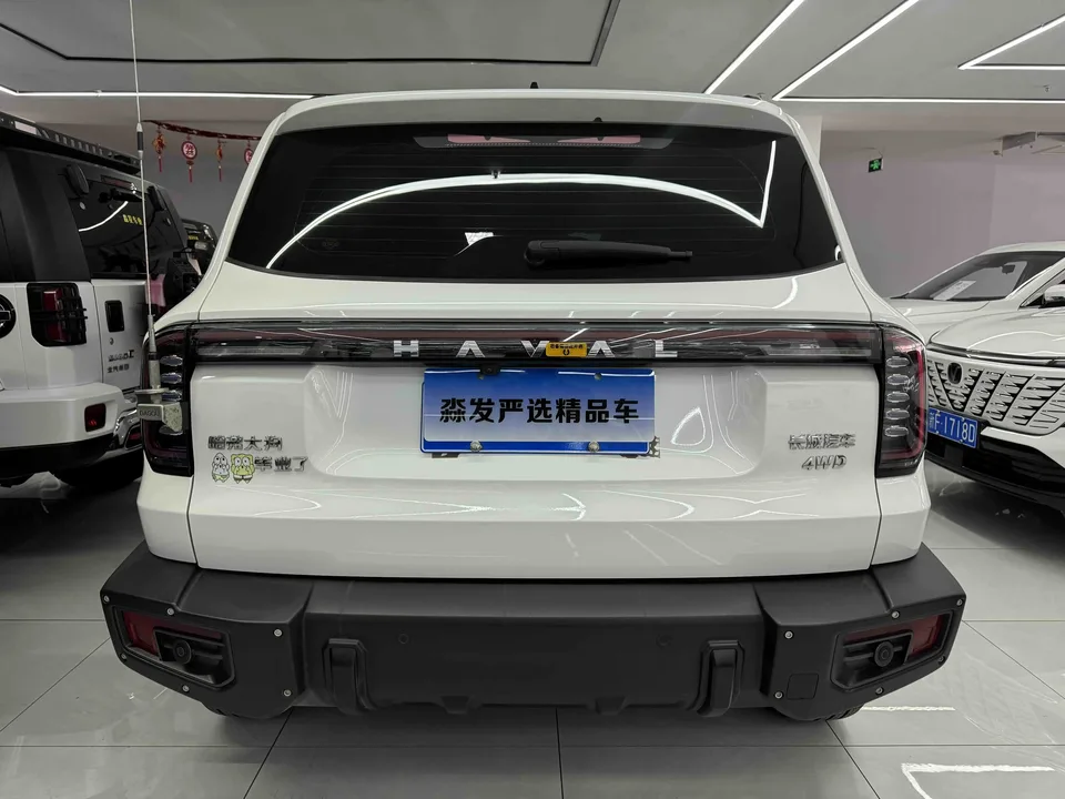 Haval Dargo Haval Big Dog 2024 2.0T four-wheel drive Chinese pastoral dog version 2024 — миниатюра 2