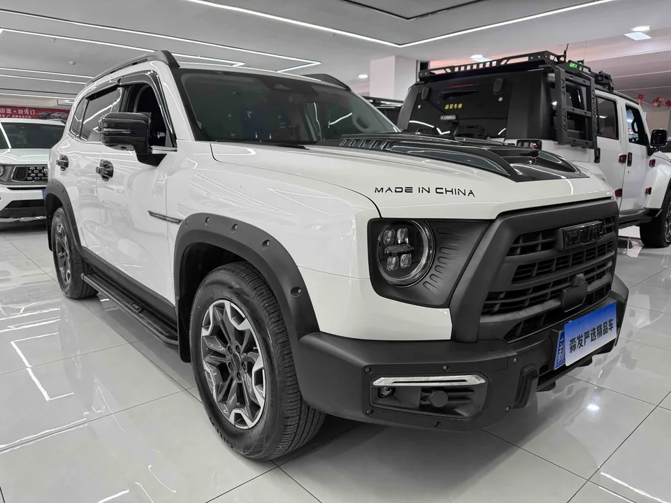 Haval Dargo Haval Big Dog 2024 2.0T four-wheel drive Chinese pastoral dog version 2024 — миниатюра 3