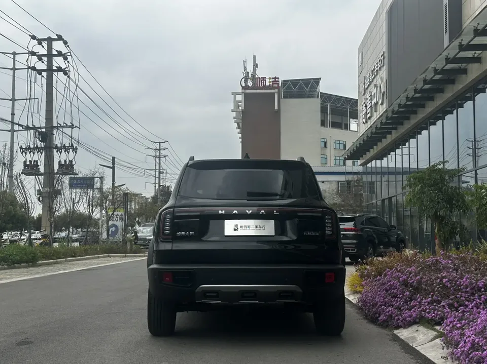 Haval Dargo Haval Big Dog 2024 1.5T 2WD Border Collie Edition 2024 — миниатюра 2