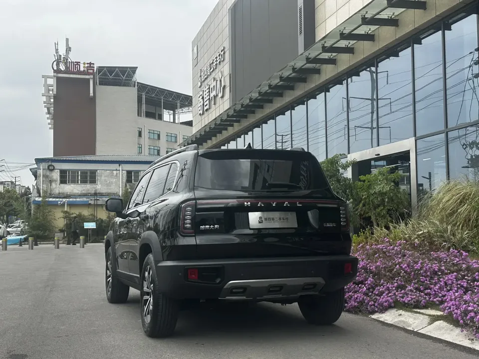 Haval Dargo Haval Big Dog 2024 1.5T 2WD Border Collie Edition 2024 — миниатюра 4