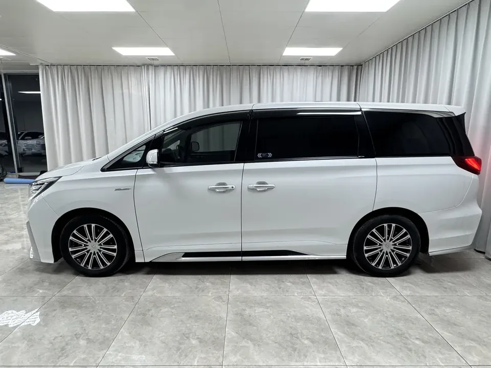 GAC Trumpchi M8 Trumpchi M8 2021 Lead Show Series 390T Exclusive Edition 2022 — миниатюра 4