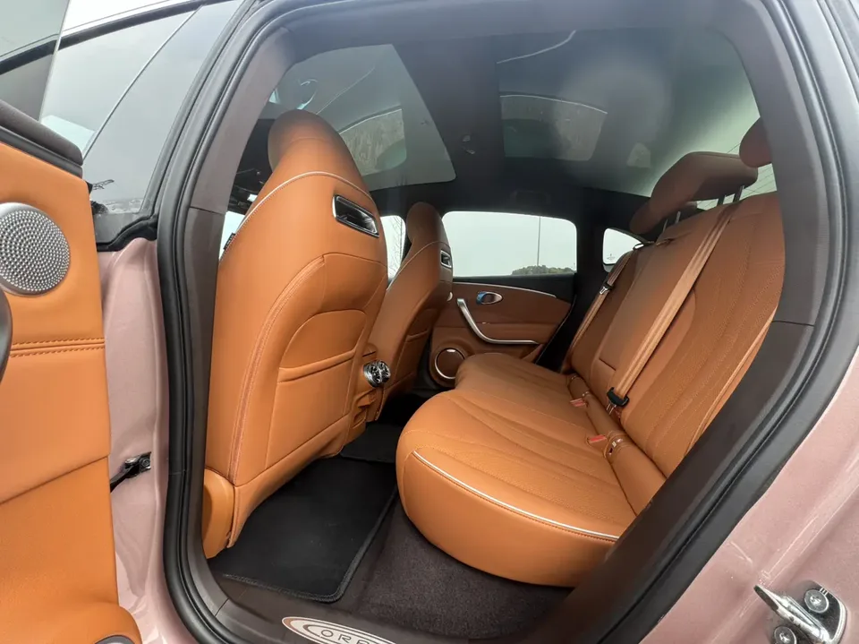 ORA Euler lightning cat 555km Premium Edition 2023 — миниатюра 4