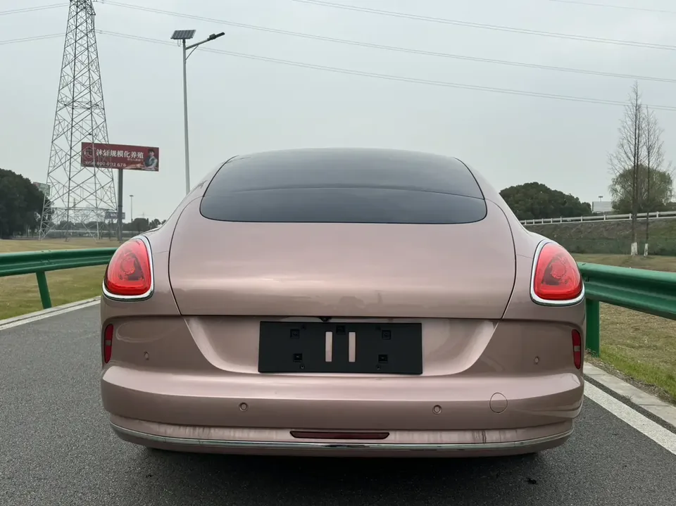 ORA Euler lightning cat 555km Premium Edition 2023 — миниатюра 5