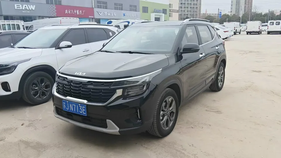 Kia Seltos CYLTUS 1.5L IVT Luxury Edition 2024 — фото 1, купить с доставкой в Москву