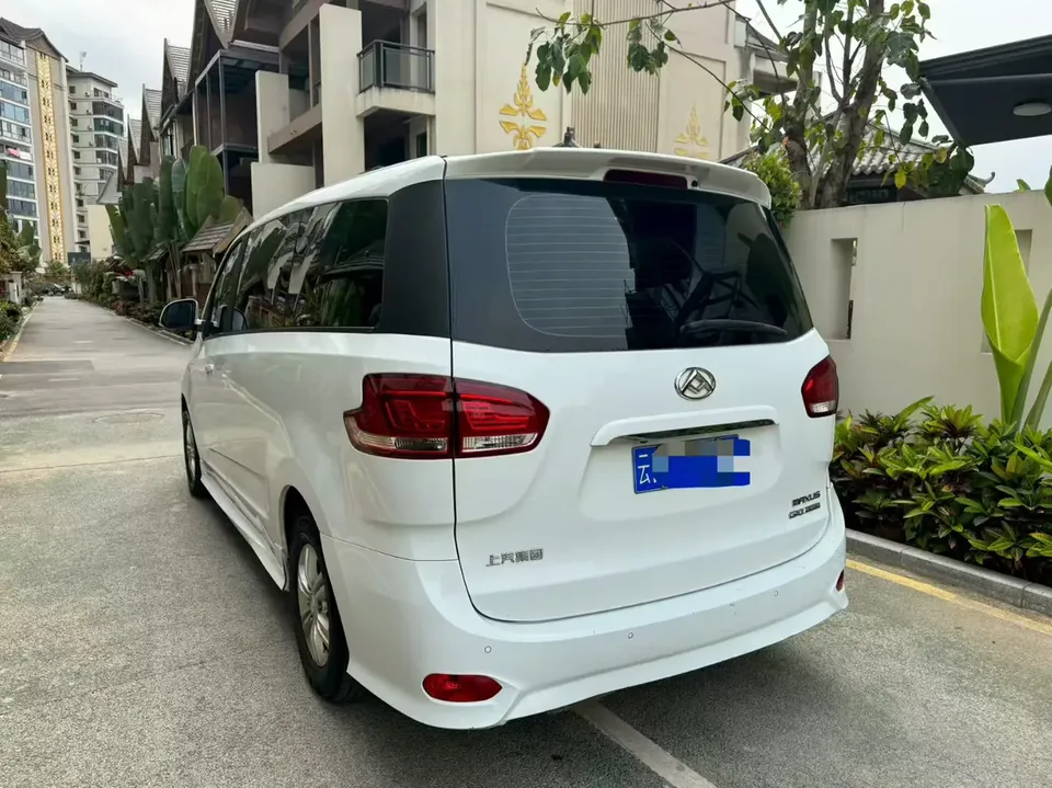 Datong Maxus G10 Maxus G10 2022 2.0T Gasoline Automatic Smart Edition 7 Seaters 2022 — миниатюра 4