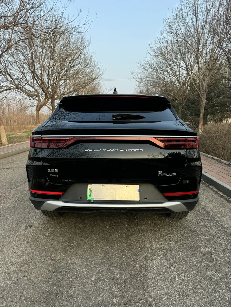 BYD Song PLUS DM Song PLUS DM 2021 DM-i 110KM 2WD Flagship PLUS 5G Edition 2022 — миниатюра 2