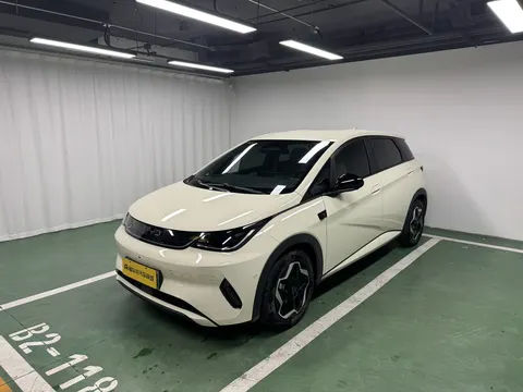 BYD Dolphin 2025 buy in Moscow
