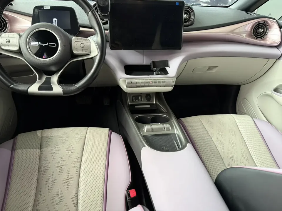 BYD Dolphin Dolphin 2023 Fashion Edition 2023 — миниатюра 4