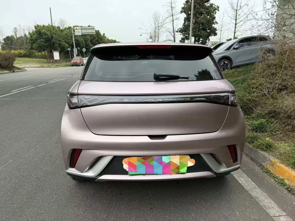 BYD Dolphin Dolphin 2023 Fashion Edition 2023 — миниатюра 5