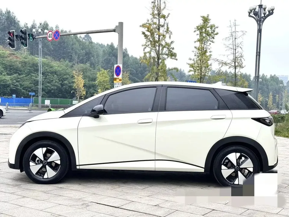 BYD Dolphin dolphin 2025 420KM Free Edition 2026 — thumbnail 2
