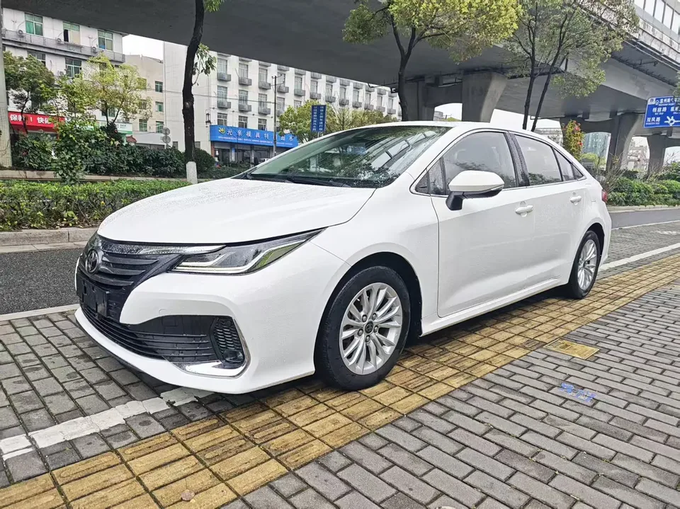 Toyota Asiatic lion 2023