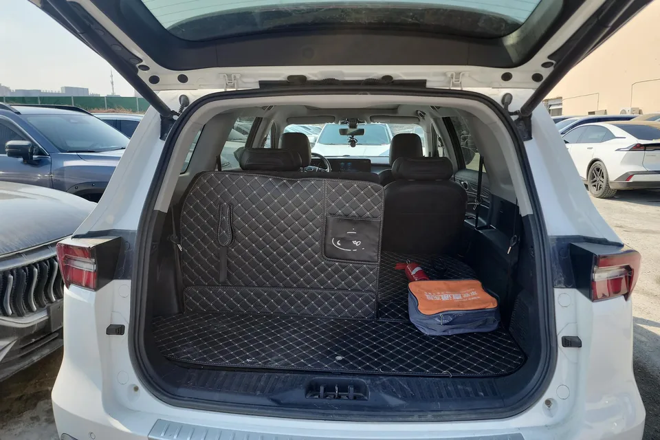Ford Lingyu EcoBoost 225 6-seater platinum collar type 2022 — миниатюра 5