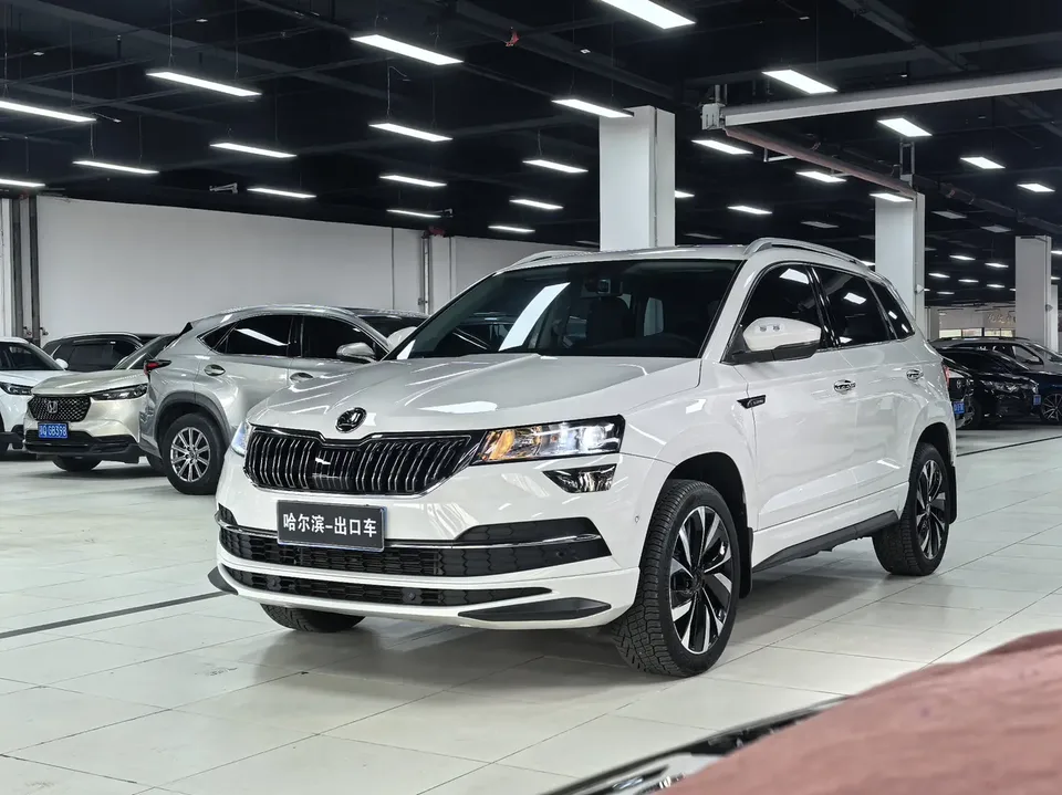 Skoda Karoq facelift TSI280 luxury version 2022 — фото 1, купить с доставкой в Москву