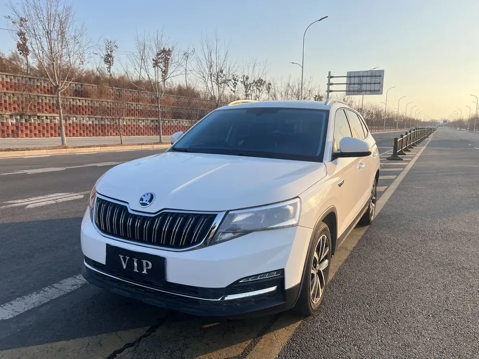 Skoda Comek Comek 2022 1.5L Automatic Comfort Edition 2022 — фото 1, купить с доставкой в Москву