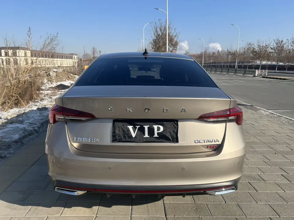 Skoda Octavia PRO TSI280 DSG Exclusive Edition 2022 — миниатюра 2