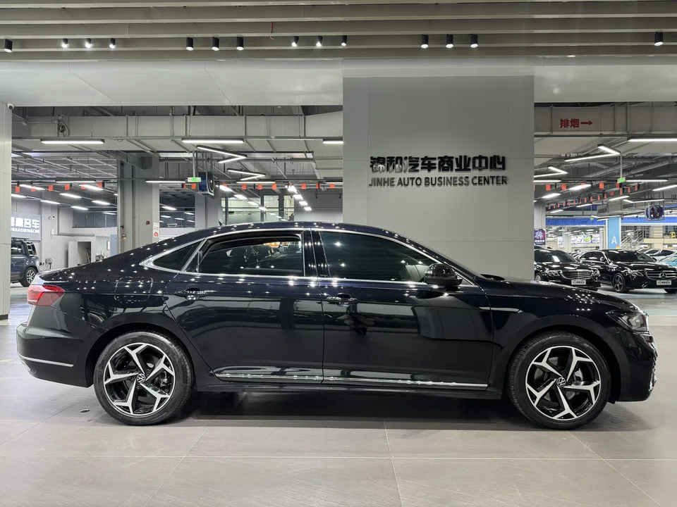 Volkswagen Passat Outstanding Model 380TSI Starry Sky Dragon Edition 2024 — миниатюра 4