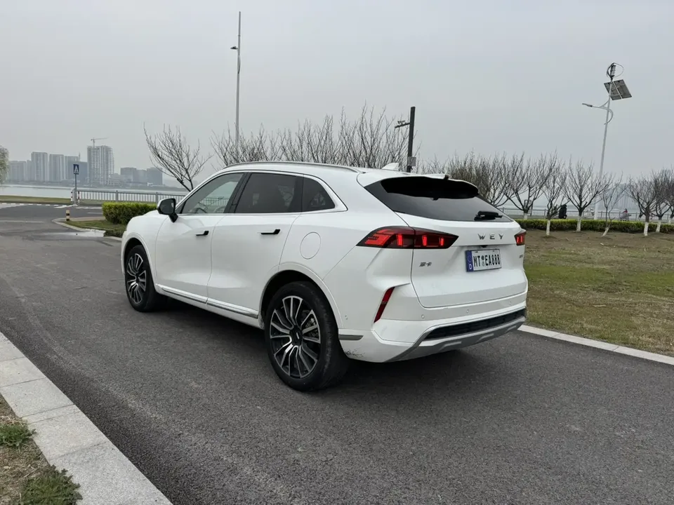 WEY Mocha 2.0T four-wheel drive special edition 2023 — миниатюра 2