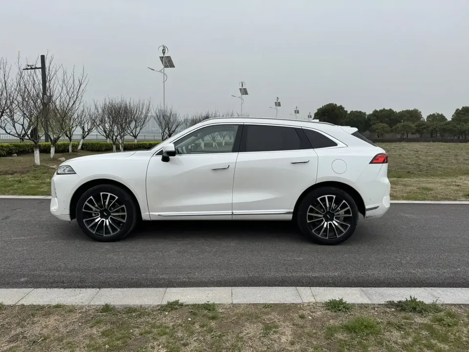 WEY Mocha 2.0T four-wheel drive special edition 2023 — миниатюра 4