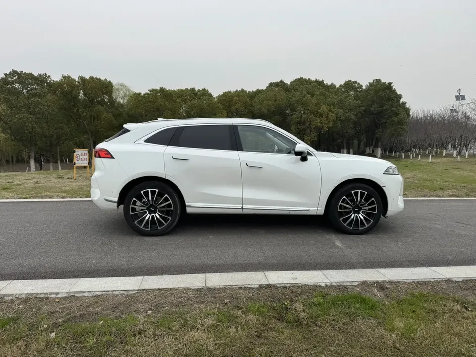 WEY Mocha 2.0T four-wheel drive special edition 2023 — миниатюра 5