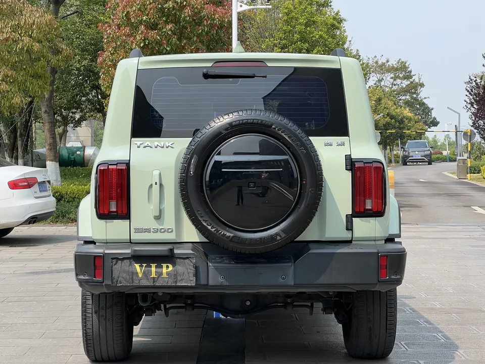 Tank 300 Tank 300 2021 Off-road version 2.0T Conqueror 2022 — thumbnail 2