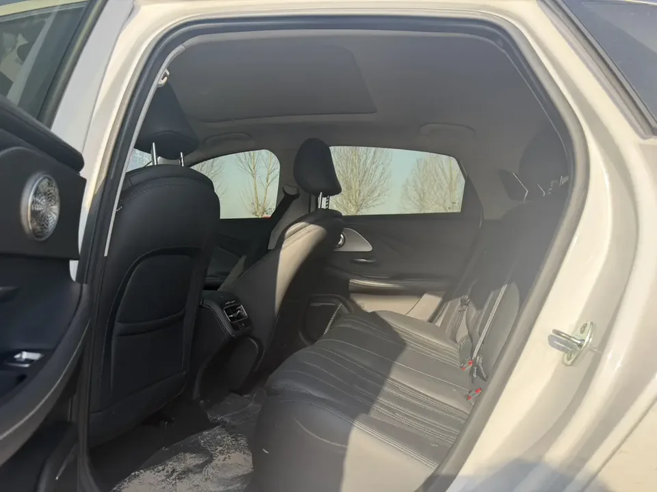 Chery Fengyun A8 127 Chengfeng Edition 2024 — миниатюра 5