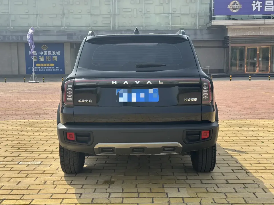 Haval Dargo Haval Big Dog 2024 1.5T 2WD Border Collie Edition 2024 — миниатюра 2