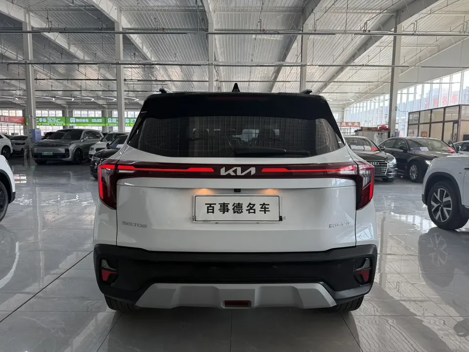 Kia Seltos CYLTUS 1.5L IVT Luxury Edition 2023 — миниатюра 2