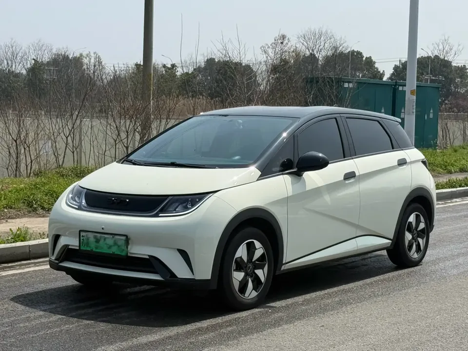 BYD Dolphin Dolphin 2025 420KM Fashion Edition 2025 — фото 1, купить с доставкой в Москву