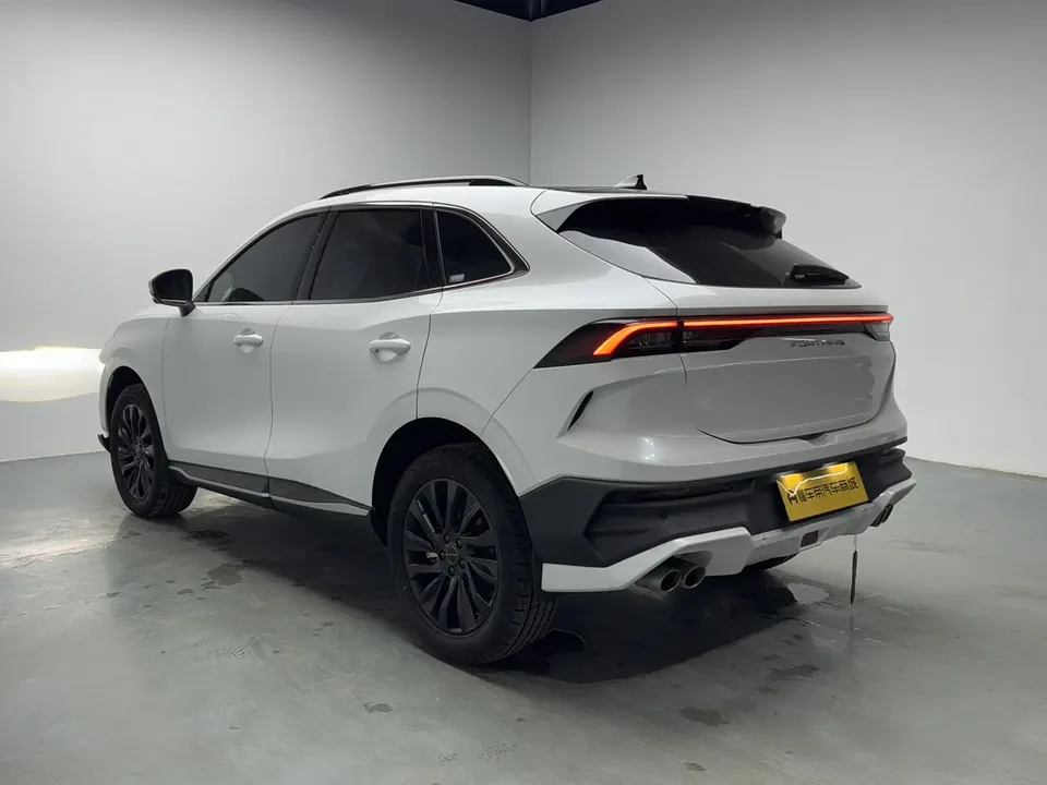 Forthing Fengxing T5 EVO Fengxing T5 EVO 2024 Crazy Edition 1.5TD DCT Mach Diamond Model 2024 — миниатюра 2