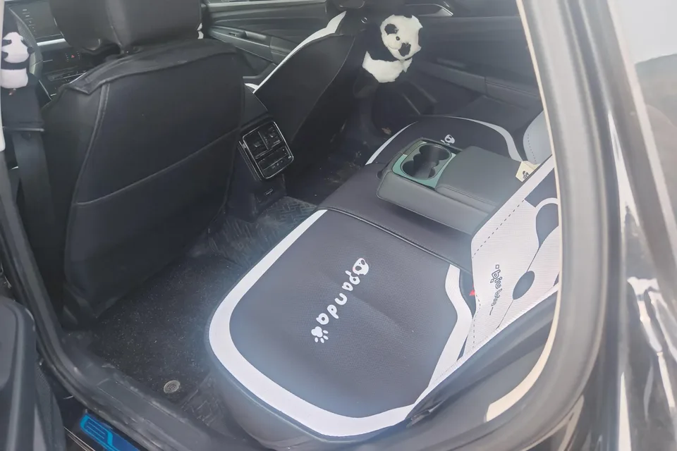 Volkswagen Passat Passat 2025 Outstanding Model 380TSI Starry Sky Dragon Edition 2025 — миниатюра 3