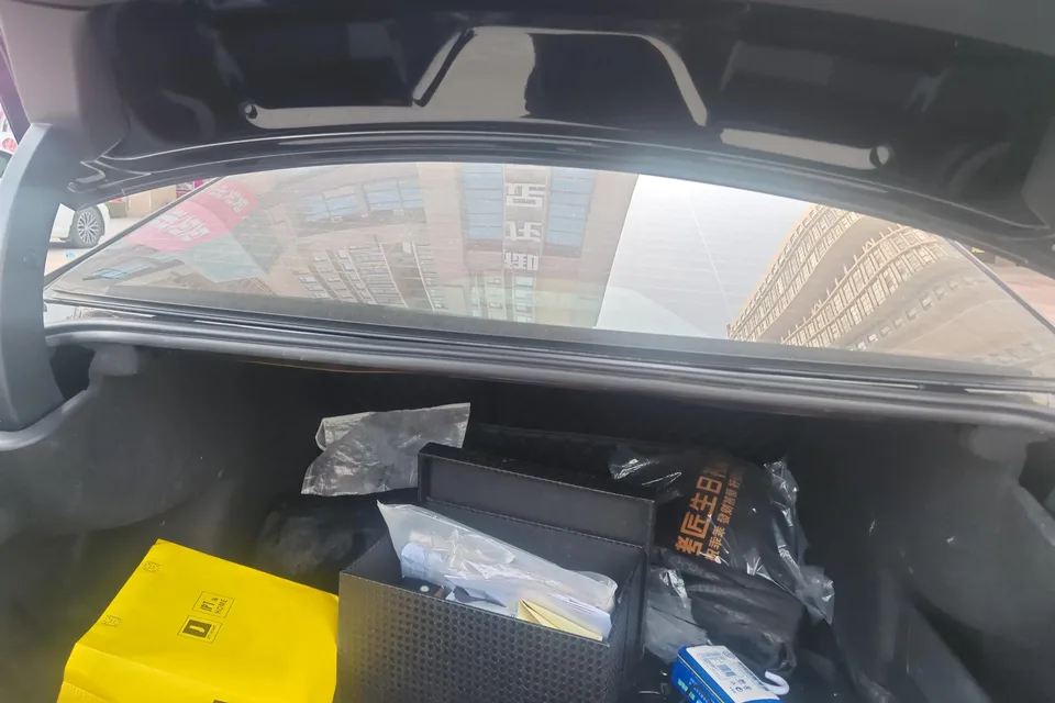 Volkswagen Passat Passat 2025 Outstanding Model 380TSI Starry Sky Dragon Edition 2025 — миниатюра 5