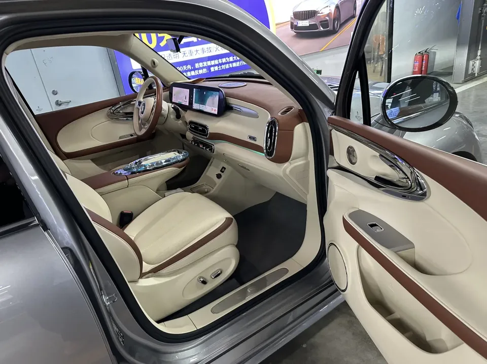ORA Euler ballet cat 401km Premium Edition 2023 — миниатюра 4