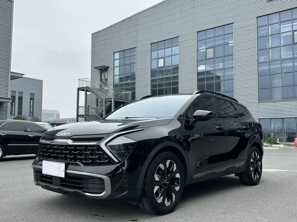 Kia Lion Platinum Expands the Boundary 2023