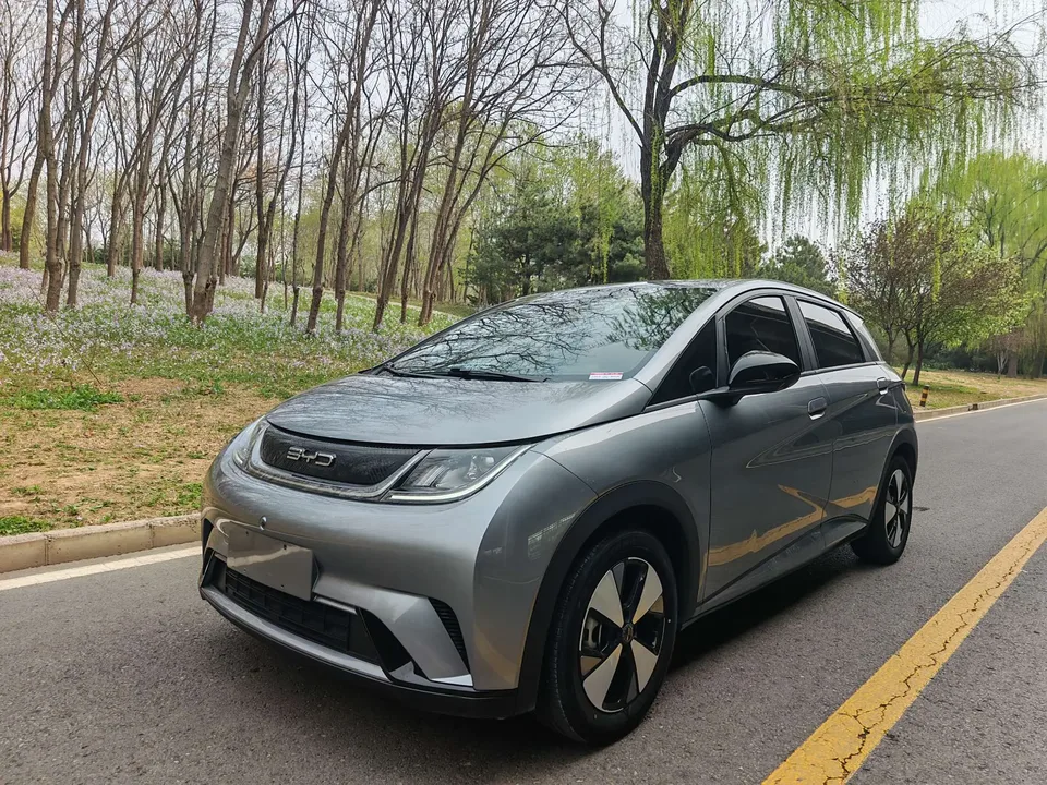 BYD Dolphin Dolphin 2023 Dolphin 2023 Free Edition 2024 — photo 1, buy with delivery to Moscow